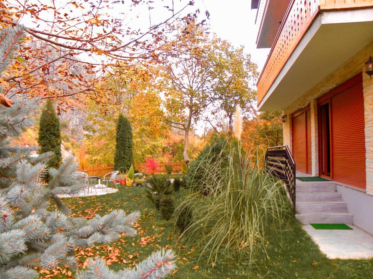 Vila Alexander B&B Valbone Exterior photo