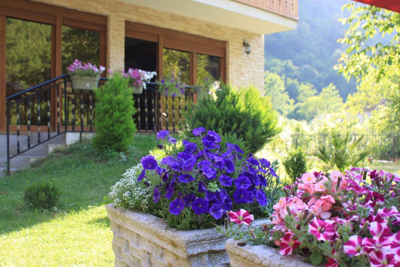 Vila Alexander B&B Valbone Exterior photo